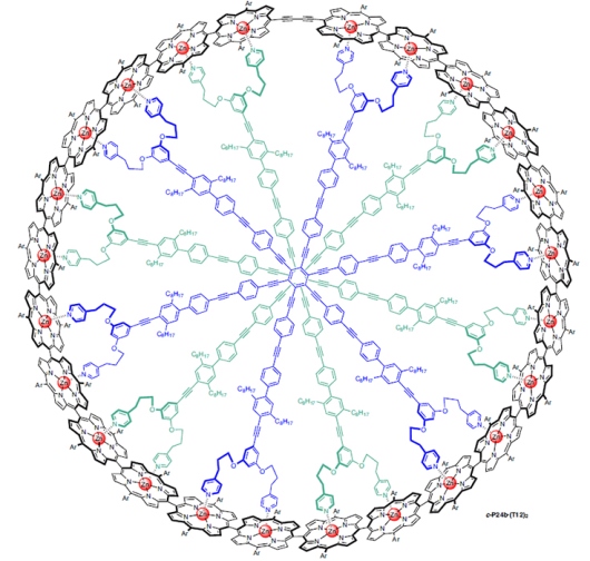 Структура циклического порфиринового комплекса с двумя лигандами до вытеснения цинка © Harry L. Anderson et al. / Nature Chemistry, 2022